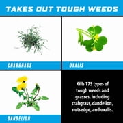 Ortho GroundClear Super Weed & Grass Killer, 1 gal