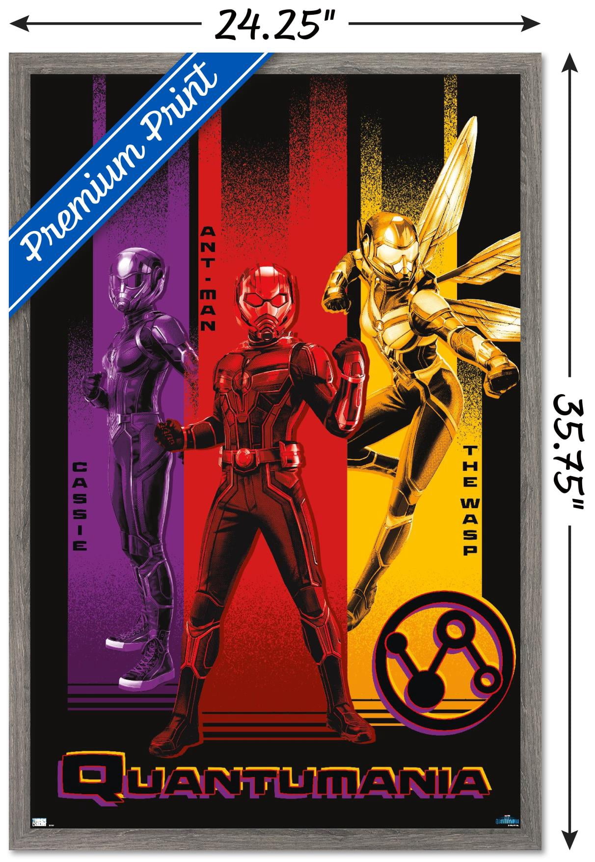 Marvel Ant-Man And The Wasp: Quantumania - Trio Wall Poster, 22.375" x 34" Framed