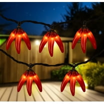 Northlight 36ct Chili Pepper Clustered String Lights Red - Brown Wire