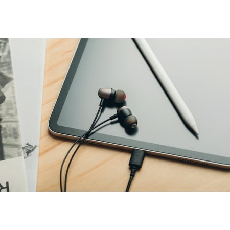 Moshi - Mythro C USB-C Wired In-Ear Headphone - Gray