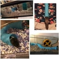 thumbnail image 5 of PEACNNG Small Animal Play Tunnel, Durable Resistant Plastic Guinea Pigs Tube, Fun Pet Tunnel Hideway for Guinea Pigs Chinchillas Rats and Dwarf Rabbits, 5 of 5