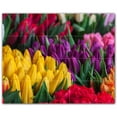thumbnail image 1 of Picture-Tiles.com: Spring Ceramic Tile Wall Mural WAL500946-54M. 30"W x 24"H using (20) 6" x 6" Ceramic Tiles-Satin Finish, 1 of 3