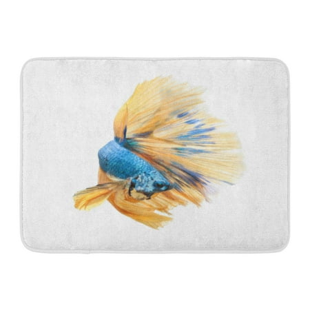 Fish Aquatic Animal GODPOK Aquarium Blue Aggressive Betta Fish Siamese Fighting Splendens Halfmoon White Colorful Animal Aquatic Rug Doormat Bath Mat 23.6x15.7 inch ()