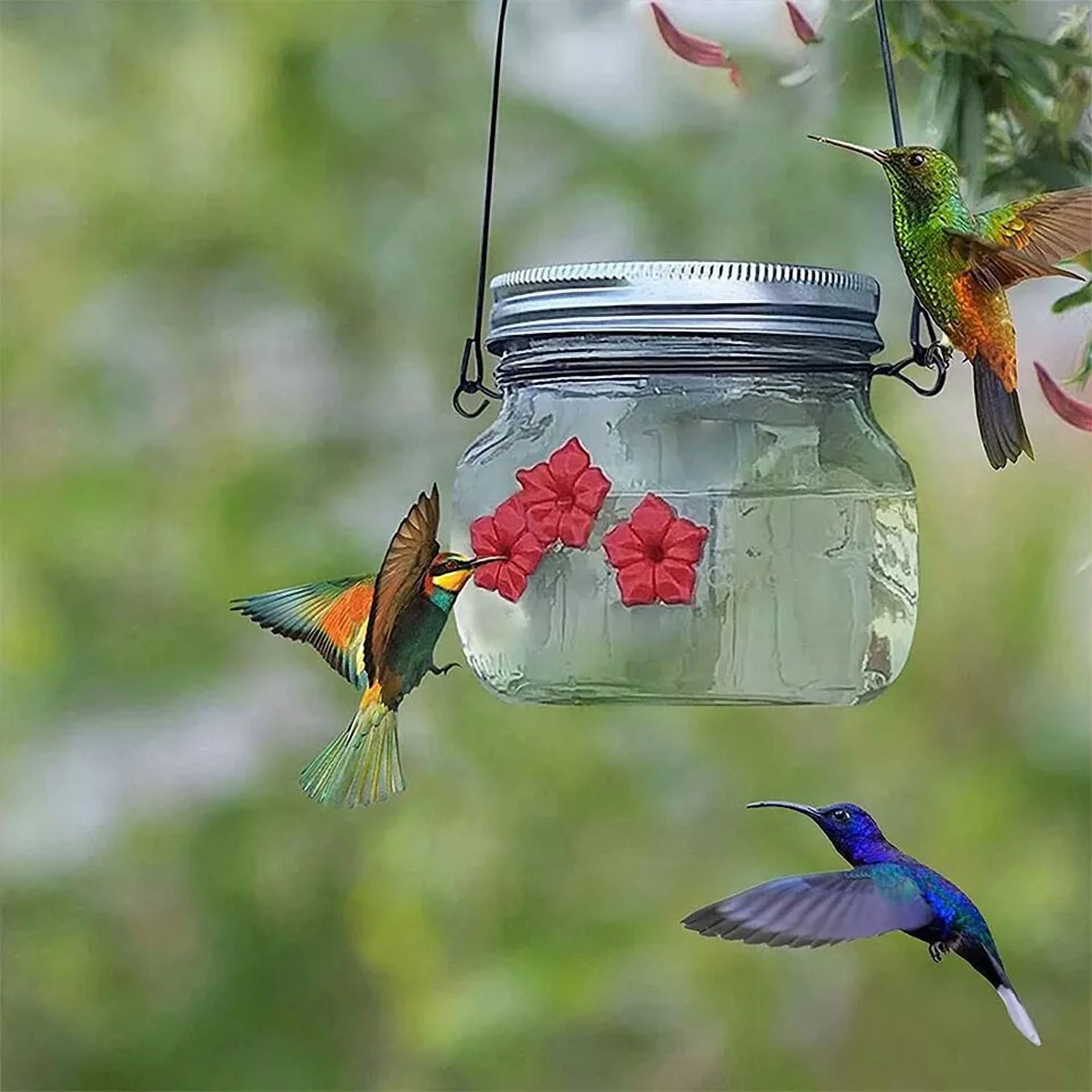 ZYLER- 1Pcs Hummingbird Feeder Mason Jar Portable For Bird Outdoor New