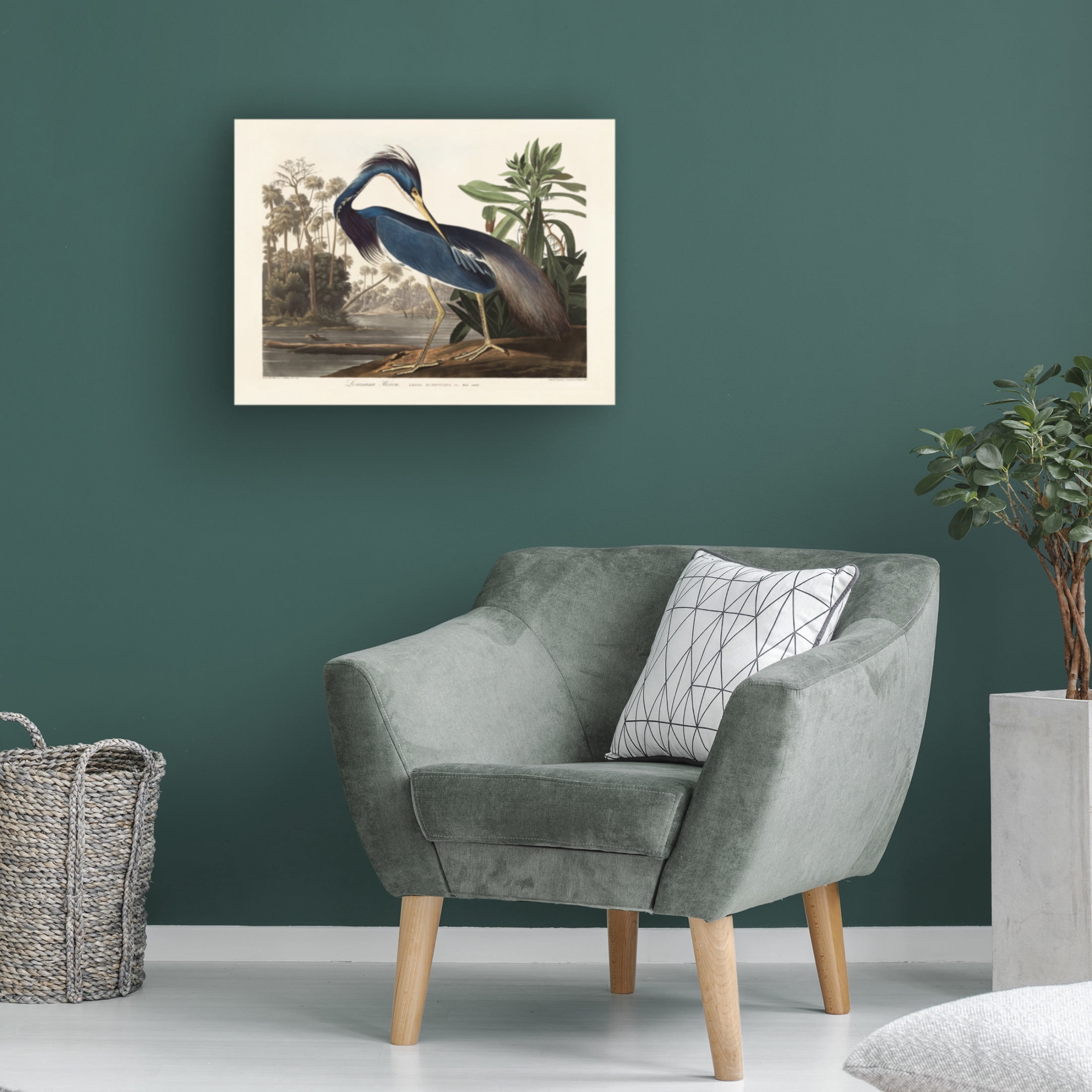 Trademark Fine Art Pictufy   Louisiana Heron From Birds of America 1827 Canvas Wall Art