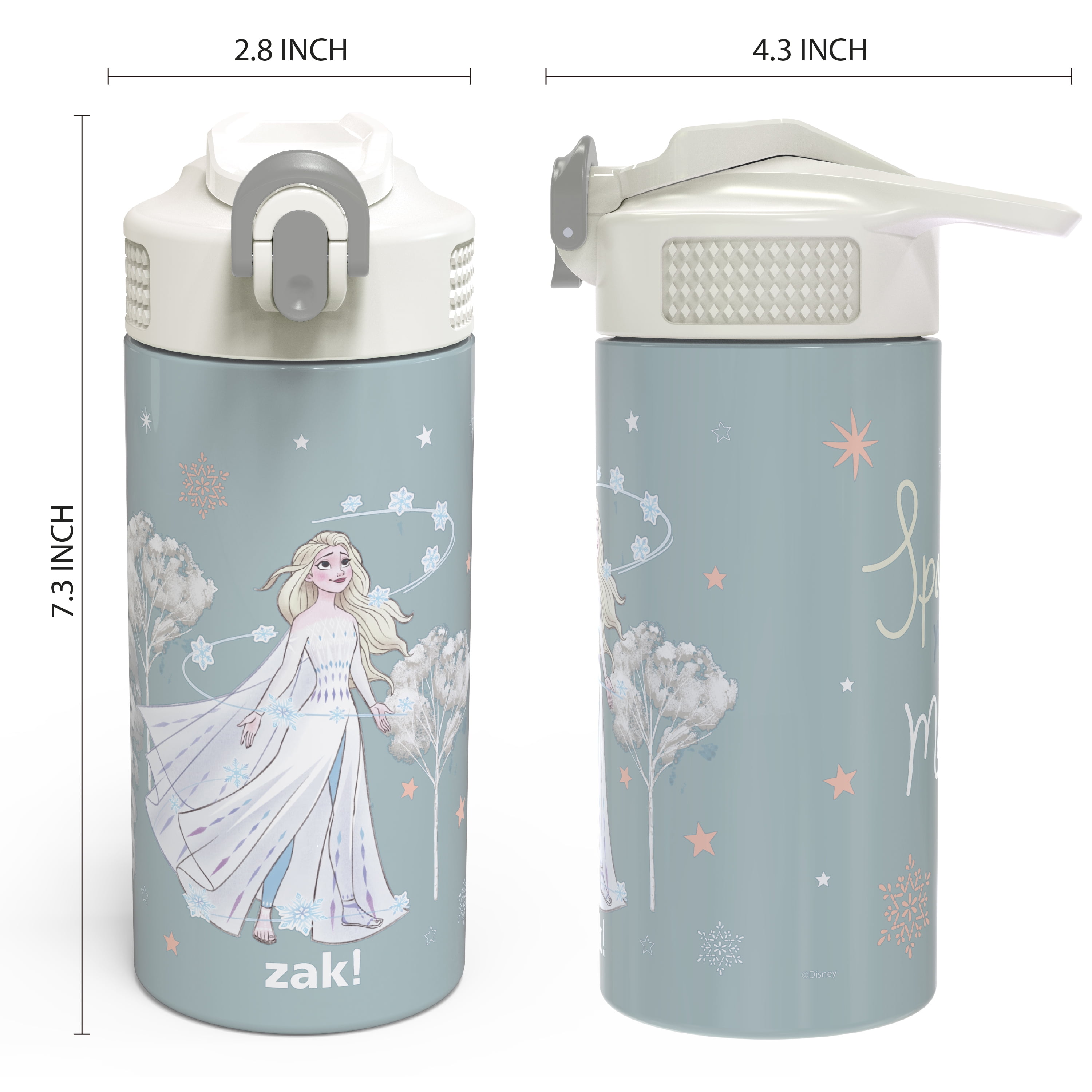 Zak Designs 14 oz Kids Water Bottle Stainless Steel Vacuum Insulated for  Cold Drinks Indoor Outdoor Disney Frozen 2 Anna 