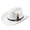 White-d, variant on PLHWHYQ Vintage Short Brim Hat for Men Women, Faux Suede Dress Hat with Decorative Feather & Metal Badge Coffee-b A