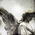 thumbnail image 2 of Blixt, Ingrid 15x15 White Modern Wood Framed Museum Art Print Titled - New Orleans Angel I, 2 of 4