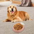 thumbnail image 4 of Dog/Cat Slow Food Bowl - Plastic Material, Raised Pattern, Non-Slip Rubber Bottom, Detachable, Prevents Overeating & Indigestion, 4 of 5