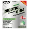 Rugby Sugar Free Nicotine Polacrilex Gum, 100 Count - 4 MG - COATED MINT Flavor - Stop Smoking Aid