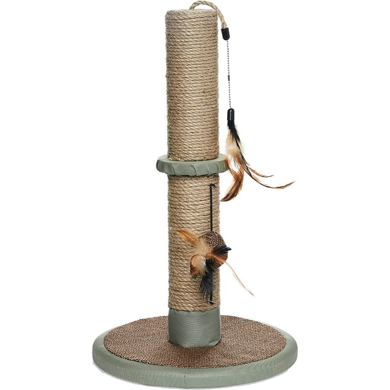 Jump 2024 cat scratcher