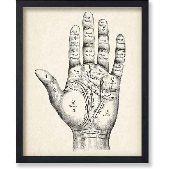 shiyou-Vintage Palm Reading Chart, 11x14 Unframed Art Print Poster, Vintage Halloween Home Witchy Occult, Wicca, Wiccan Magic Decor Oddities and Curiosities, Physiognomy and Palmistry Print