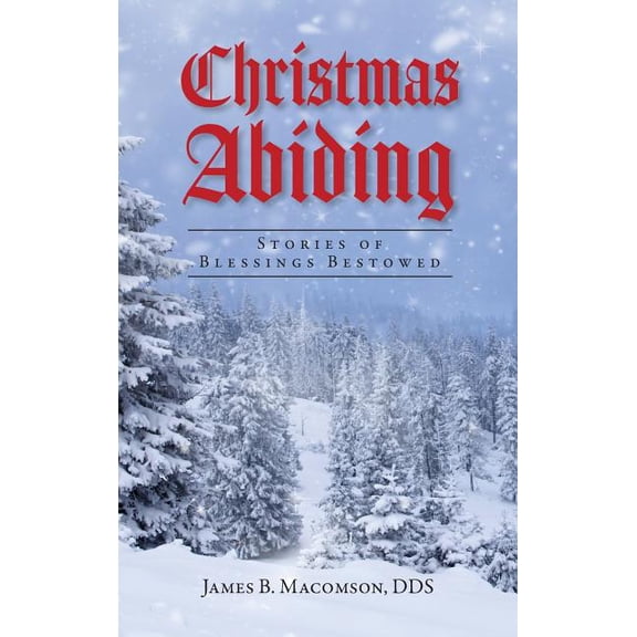 Christmas Abiding : Stories of Blessings Bestowed (Hardcover)