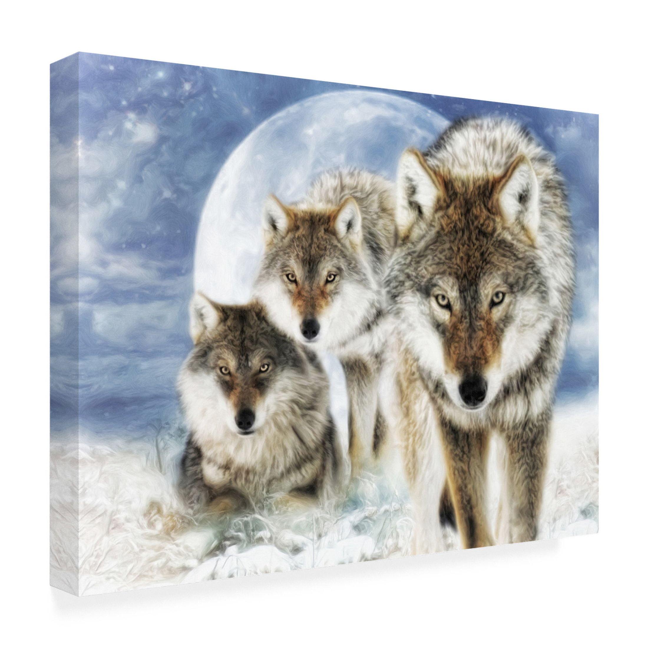 Canvas Wall Art - Trudi Simmonds 'Juxtapose' Wall Art for Living Room, Bedroom, or Office Décor by Trademark Fine Art - 47 x 35 Inches
