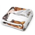 UltraSoft Micro Fleece Blanket,Pet Animal Cute Dog Hamster And Cat