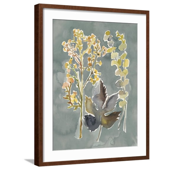 Art.com Collected Florals III Art Print by Chariklia Zarris, Brown Frame Wall Art, 23" x 29"