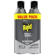 Raid Outdoor Wasp & Hornet Insecticide Value Pack, 14 oz., 2 Count
