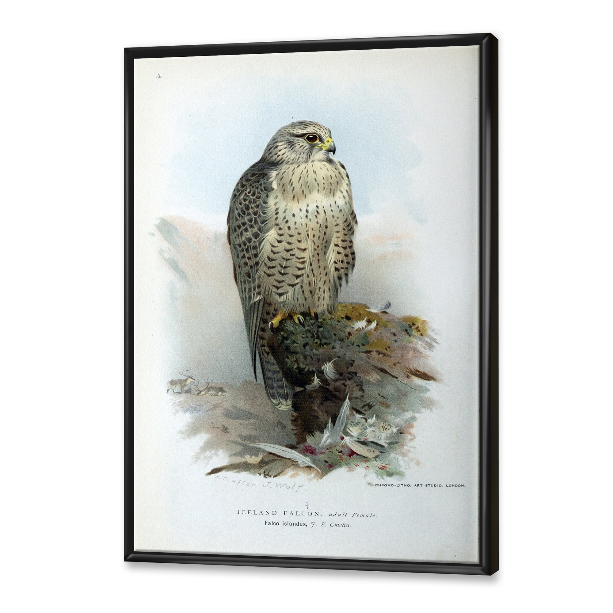 Designart 'Ancient Bird Life V' Traditional Framed Canvas Wall Art Print