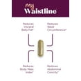 thumbnail image 3 of Purity Products MyWaistline BPL1® HT Postbiotic, 3 of 6