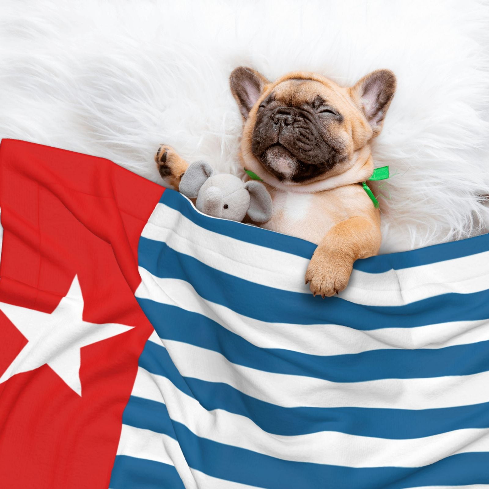 Flannel Throw Dog Blanket West Papua National Flag Soft Warm Print Pet Blankets for Small Dog Cat Puppy
