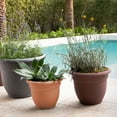 thumbnail image 2 of Bloem Ariana 12" Round Self-Watering Resin Planter Pot - Rolled Rim Indoor and Outdoor Planter, Muted Terra Cotta, 2 of 6