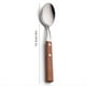 thumbnail image 2 of Cuchara de Comida Occidental con de Madera Cuchara de Hielo para el Hogar Cuchara de Sal para Condimentos Cuchara de Cocina, 2 of 9