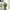 Green-A, variant on Lilgiuy Spring Fake Plants Small Artificial Potted Plants Faux Plants Orange Bathroom Accessories for Home Office Desk Bathroom Indoor Balcony Garden Decor, 8.27x6.69in