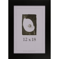 Frame USA 12" x 18" Glass/Wood Picture Frames, Black