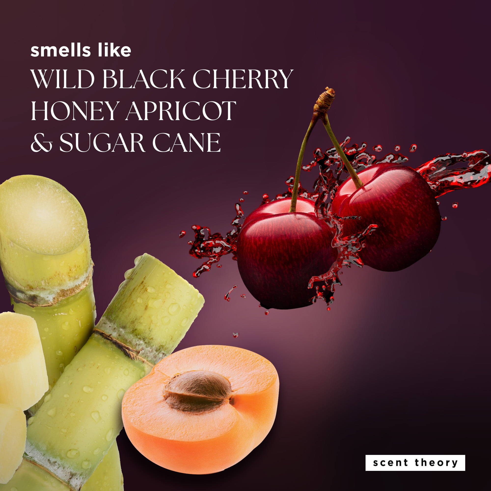 Scent Theory Wild Black Cherry Holiday Bath Gift Set, 5 Piece