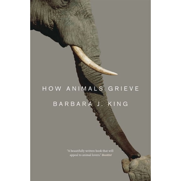 How Animals Grieve, (Paperback)