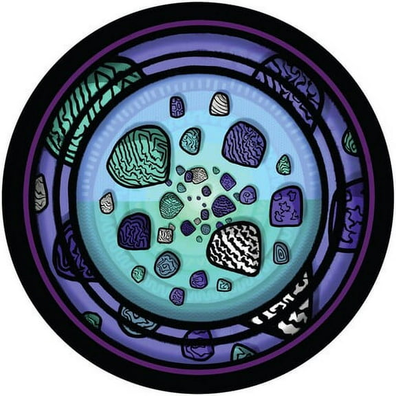 Sosa Vs Prok & Fitch - Dance Lapse - Music & Performance - Vinyl