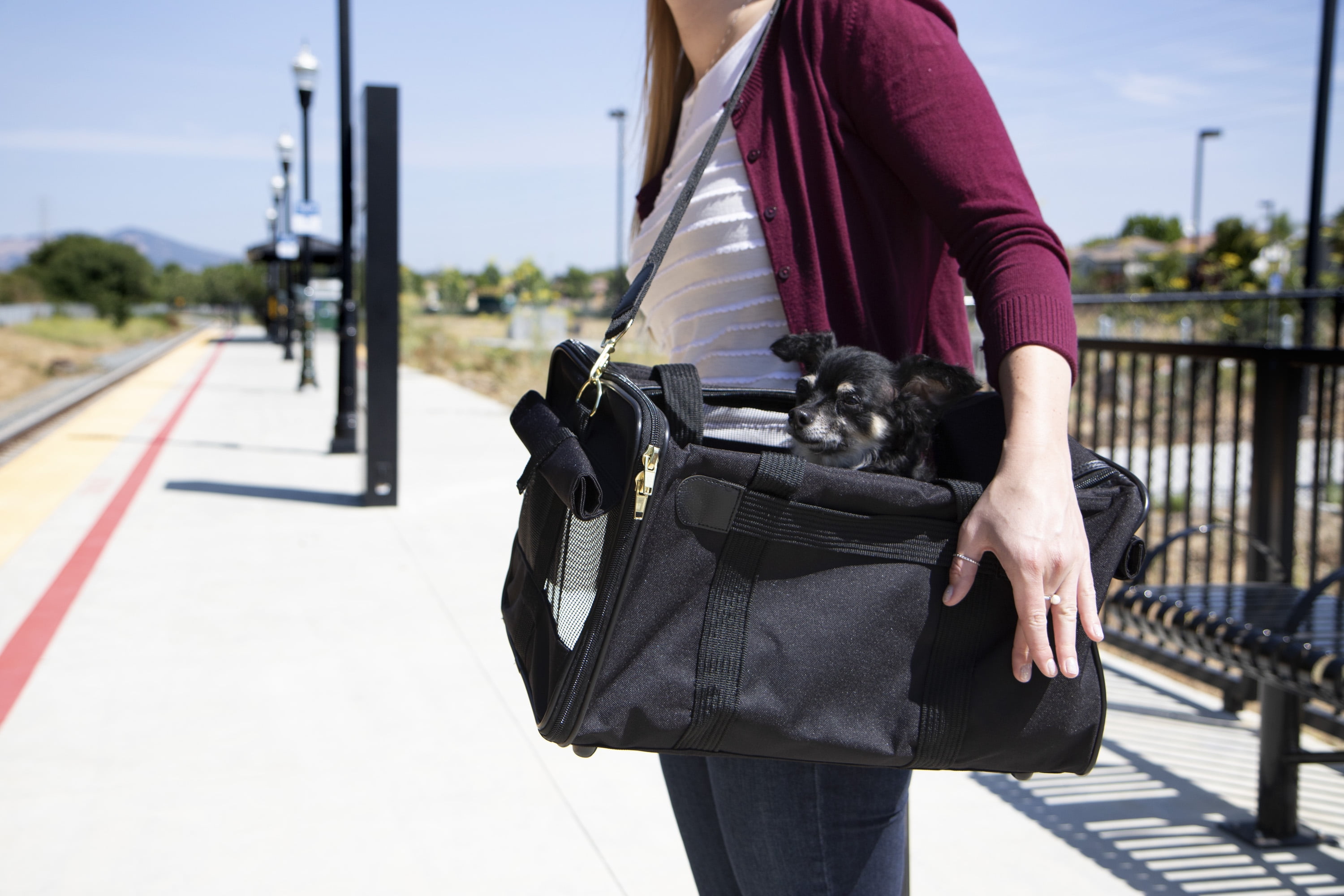 sherpa delta medium bag