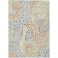 thumbnail image 2 of Addison Rugs Chantille Indoor/Outdoor Transitional Animal Linen Machine Washable Rectangle Rug, 5' x 7'6", 2 of 8