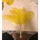 thumbnail image 4 of Plumas de avestruz naturales CHAO color amarillo 15-20cm para decoración, 4 of 4