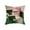 C, variant on JoyMoreHome Cute Funny Cat Pattern Throw Pillow Cover with Hidden Zipper, 18x18 Inch Soft Durable Pillowcase for Livingroom, Sofa, Bedroom, Office