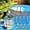 Blue,White, variant on Replacement Pool Hoses for Above Ground Pools,Long Filter Pump Hose,Pool Pump Hose with 8 Metal Clamps 39inch 4PCS White Clearance!