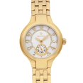 thumbnail image 2 of Pre-Owned Philip Stein Round Mini 28mm Gold-Tone MOP Dial Ladies Quartz Watch 44GP-FMOP (Fair), 2 of 6