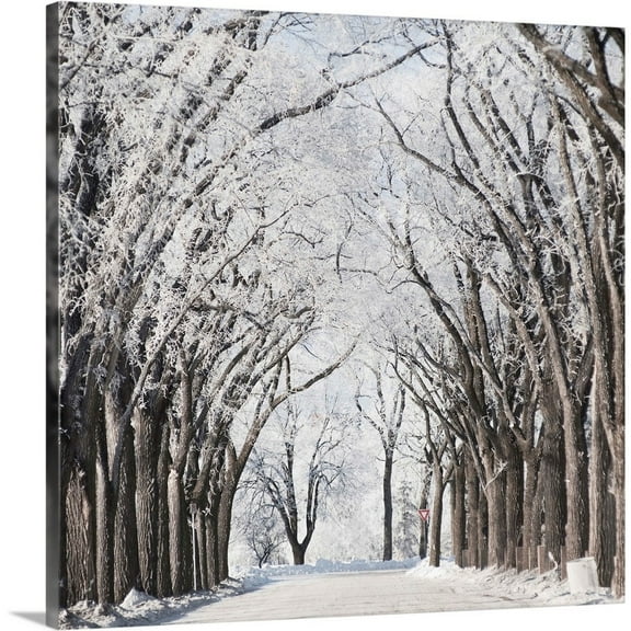 Great Big Canvas "A Road And Trees Covered In Snow In Winter, Winnipeg, Manitoba, Canada"  by Keith Levit Dark Gray    Wrapped Canvas Print Wall Artwork