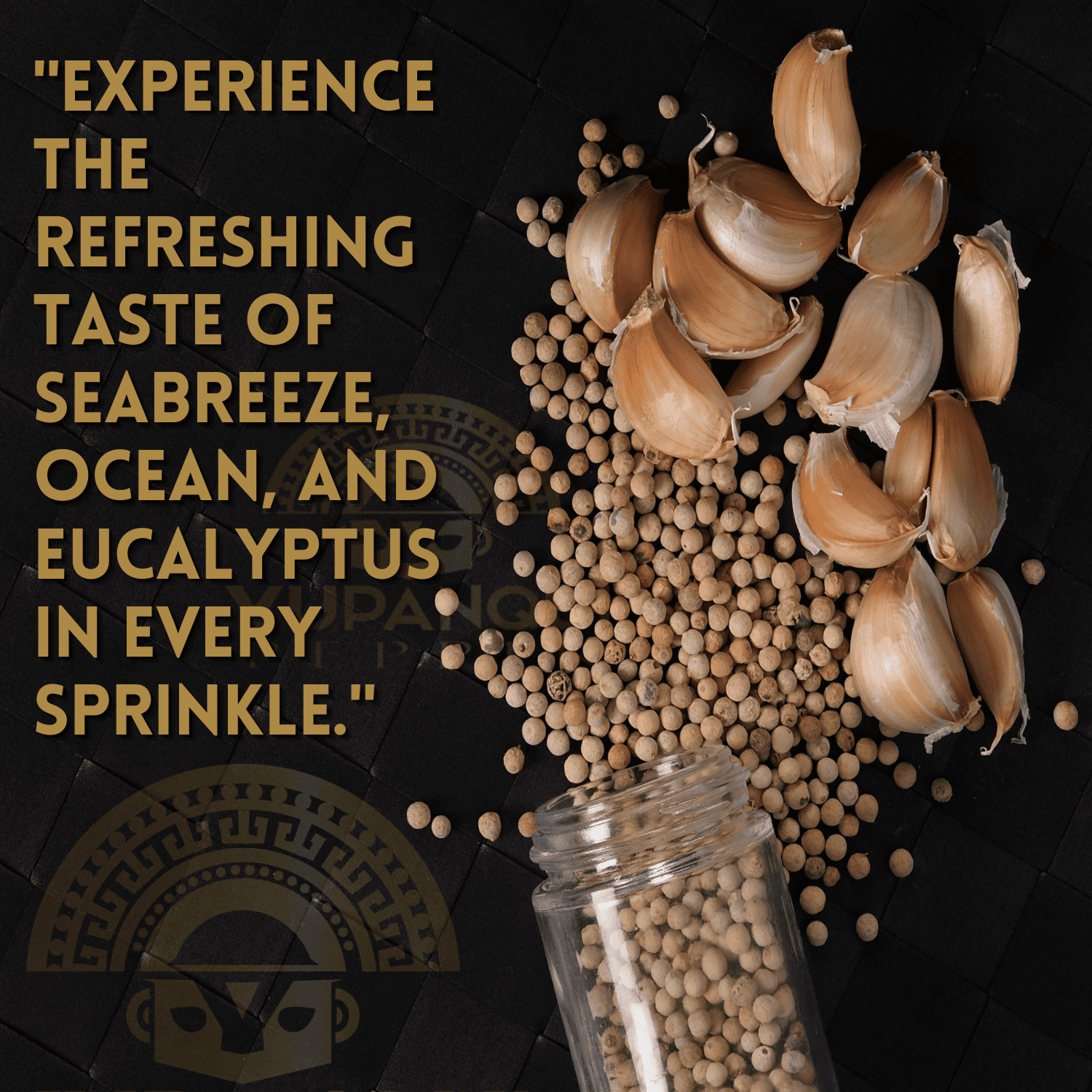 Yupanqui White Pepper Grinder 3oz Gourmet Flavor Vegan White Peppercorns for MEDITERRANEAN CUISINE