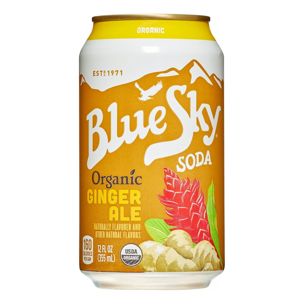 Blue Sky Organic Ginger Ale, 12 Fl Oz (Case of 24)