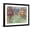 Black Frame, variant on Art.com The House Among the Roses (La Maison Dans Les Roses), 1925 Giclee Print by Claude Monet, 16" x 12"