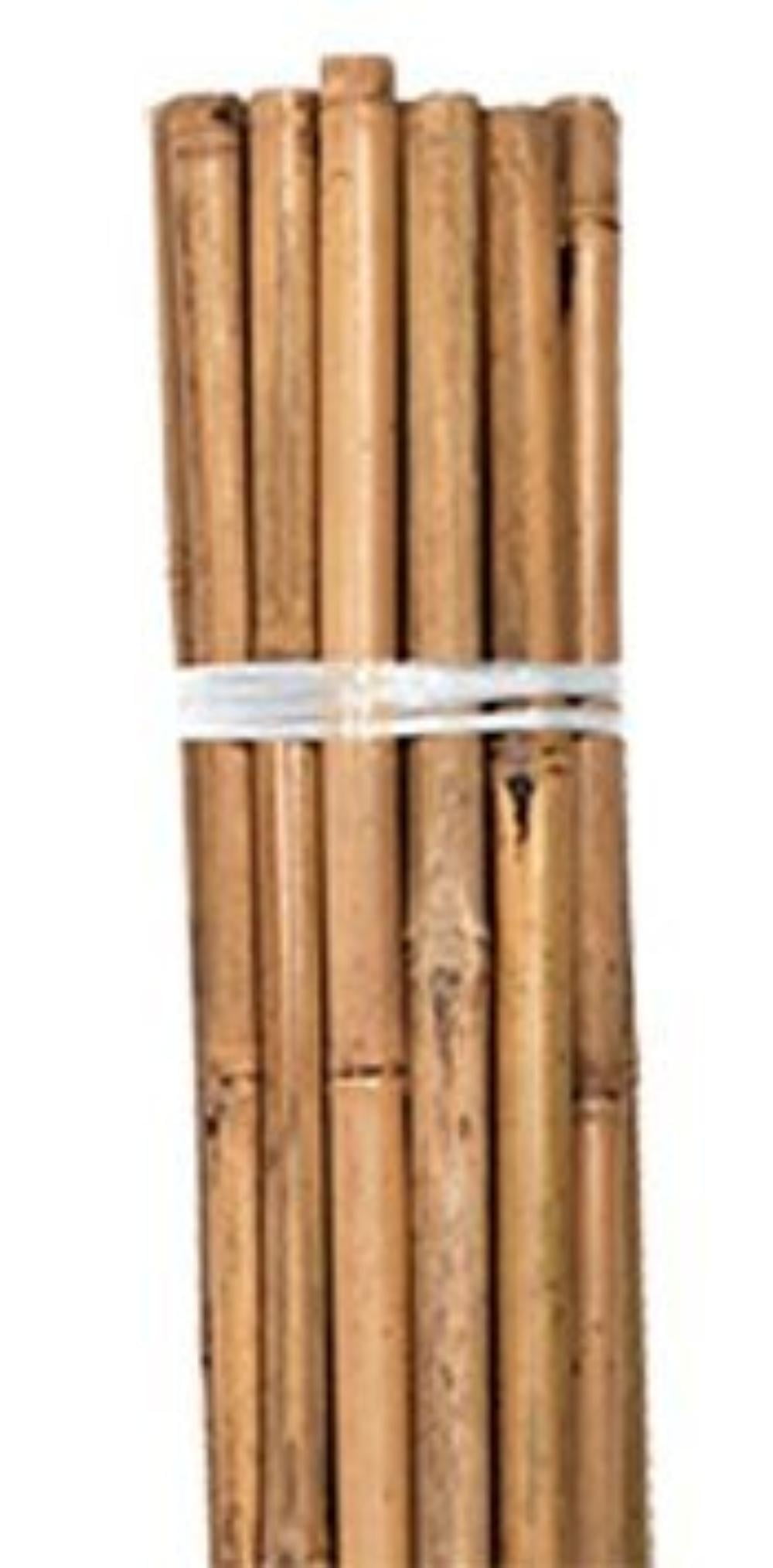 Bamboo Stakes, Natural, 3 Foot, Bag of 25, Strong support By Orchids R