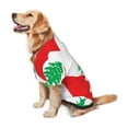 thumbnail image 3 of Lebanese Flag Dog Hoodie Pet Coat for Medium and Large Dogs Daily Use XX-Large, 3 of 5