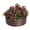 Natural wood color, variant on Gaderth Round Raised Garden Bed, 4ft x 1.5ft Galvanized Steel Planter with Rust & Corrosion Protection, Safe Rubber Edges, Open Bottom for Vegetables, Flowers & Herbs