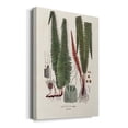 thumbnail image 2 of Botanical Society Ferns IV Premium Gallery Wrapped Canvas - Ready to Hang, 2 of 9