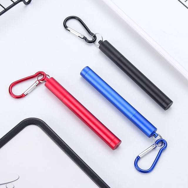 HLONK 1 Ensemble Paille Télescopique Pliable à Trois Sections en Acier Inoxydable pour Enfants