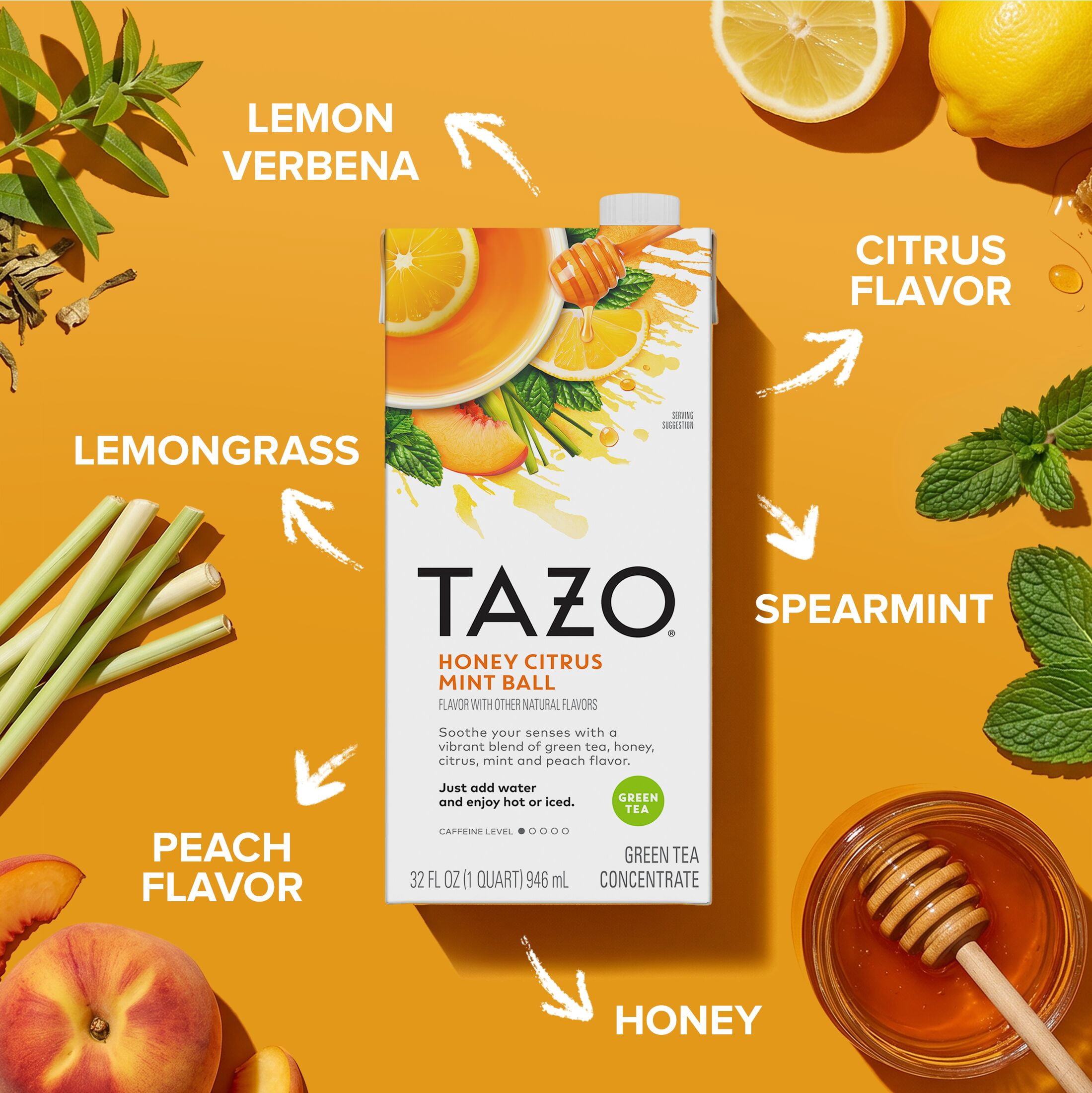 TAZO Honey Citrus Mint Ball Green Tea Liquid Concentrate 32 fl oz
