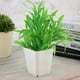 thumbnail image 1 of Macetas para Plantas BuyWeek Cuadradas 20 Piezas Mini Modernas, 1 of 9