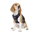thumbnail image 1 of Arnés para perros Funfox, tamaño mediano, ajustable, negro, 1 of 8