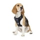 thumbnail image 1 of Arnés para perros Funfox, tamaño mediano, ajustable, negro, 1 of 8